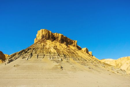 Aral Oasis